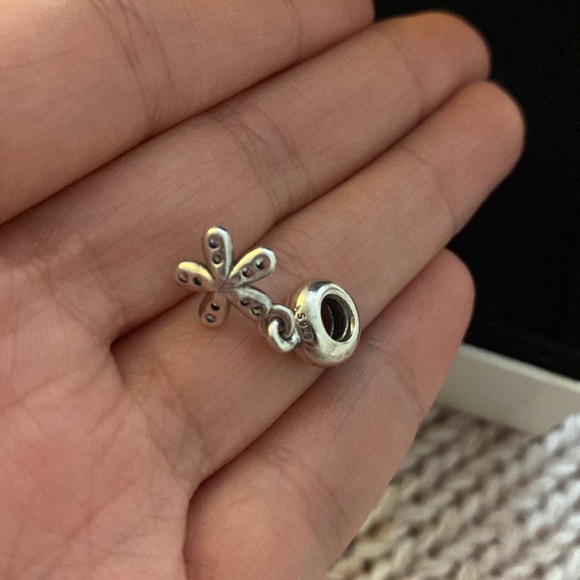 Pandora - Picture 3 of 3